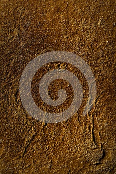 Brown bread crust with visible details. texture or background