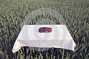 Brown bread loaf on table in farm wheat crop field