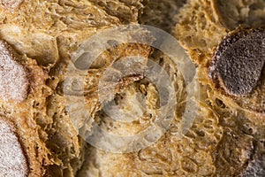 Brown bread macro still wheat texture detail