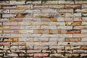 Brown Bricks Wall Pattern, Closeup, Showing Texture