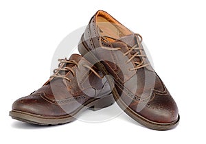 Brown Brogue isolated on a white background