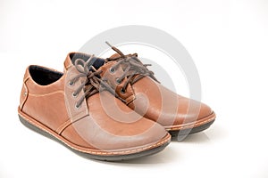 Brown Brogue isolated on a white background