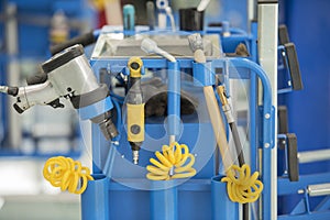 Brown Brogue on a white background