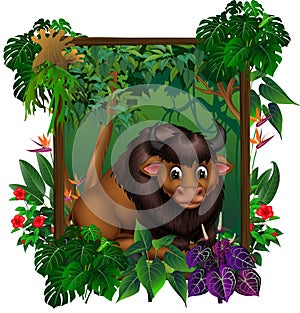 Brown Buffalo Bison In Forest With Tropical Plant Flower Cartoon