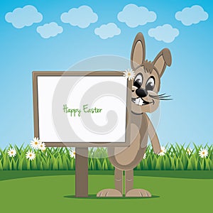 Brown bunny behind sign on spring lawn landscape