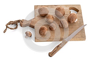 Brown button mushroom (Agaricus brunnescens) on a cutting board