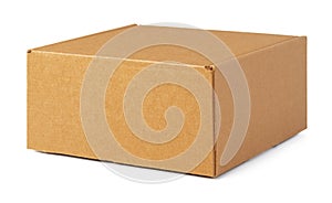 Brown cardboard box isolated on white background