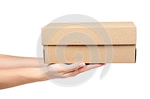 Brown cardboard box for packaging and delivery, isolated on white background