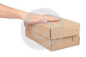 Brown cardboard box for packaging and delivery, isolated on white background