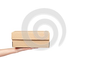 Brown cardboard box for packaging and delivery, isolated on white background, copy space template