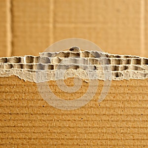 Brown cardboard box texture torn into several layers