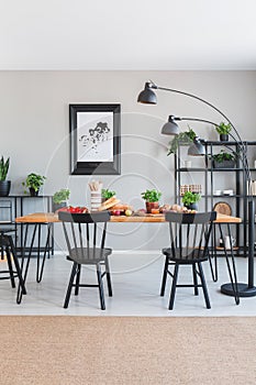 Brown carpet in front of black chairs and wooden table with food in grey dining room interior