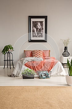 Brown carpet in front of red bed with pillows in grey bedroom interior with plants and poster