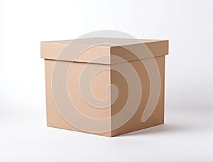 brown carton packaging box