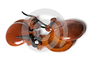 brown Castanets on white background