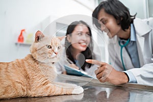 brown cat sits quietly as a couple of vets observe