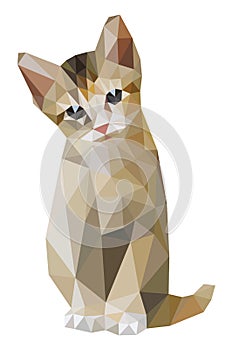 Brown cat sitting low polygon