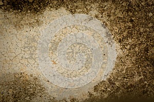 Brown cement floor texture background Enter text