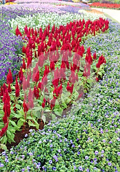 Brown chair in a flowers garden with walkway