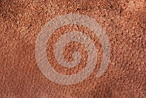 Brown chamois texture