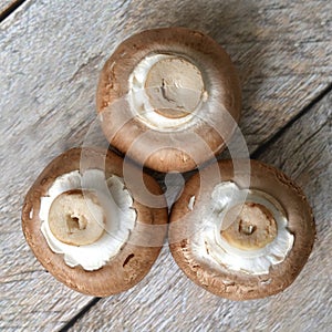 Brown champignon mushroom on a wooden background