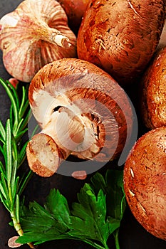 brown champignons