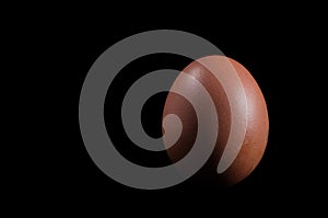 Brown chicken egg on a black background, isolate.