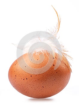 Brown chicken egg and chicken feather on its top isolated on white background