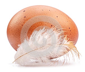 Brown chicken egg and chicken feather isolated on white background