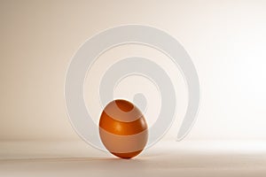 Brown chicken egg, standing upright.