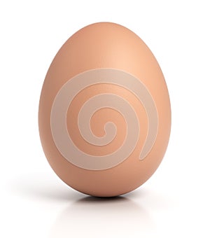 Brown chicken egg on white