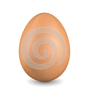 Brown chicken egg