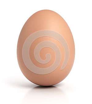 Marrón huevos en blanco 