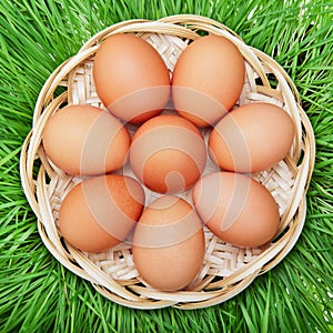 Brown chicken egg in a wicker basket