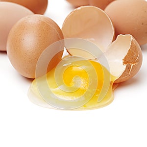 Brown chicken egg with yolk