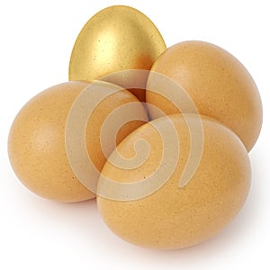 Brown chicken eggs