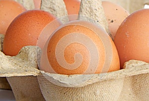 Brown chicken eggs in a carboard box