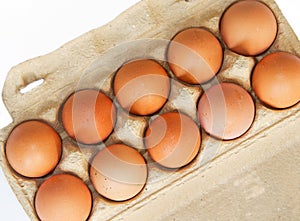 Brown chicken eggs in a carboard box