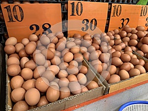 Brown chicken eggs in carton box selling in the market