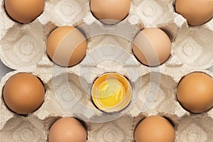 Brown chicken eggs in carton container. One broken egg in container