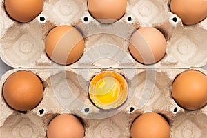 Brown chicken eggs in carton container. One broken egg in container