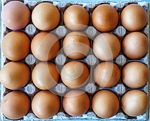 Brown chicken eggs in carton package, top view.