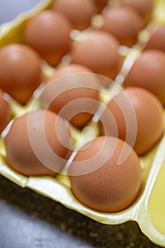 Brown Chicken Eggs in a egg carton