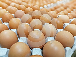 Brown chicken eggs in the egg tray,fresh raw chicken eggs in package for sale in supermarket