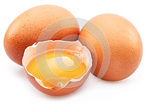 Brown chicken eggs and egg yolk isolated on white background