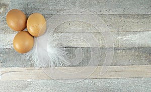 Brown chicken eggs with feather at wooden background