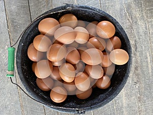 Brown Chicken Eggs, harvest in the morning