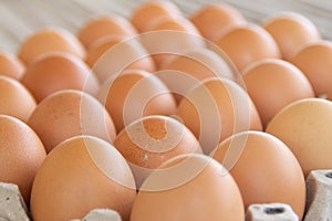 Brown chicken eggs are lined up in a tray. Many brown eggs are together in the tray