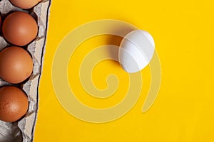 Brown chicken eggs and one white agg in carton box made of recycled waste paper on yellow background. Top view with copy space.