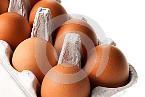 Brown chicken eggs in pack
